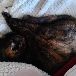 Meet your Posher, Gail